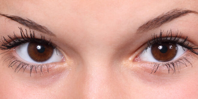 eye makeup for brown eyes